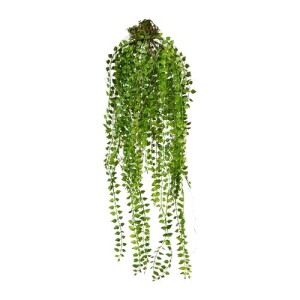 Product detail of Umělá rostlina Columnea závěsná, 48 cm, zelená