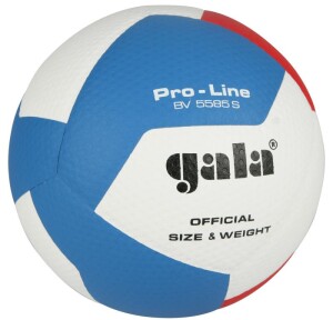 Product detail of Gala PRO LINE BV 5585 S