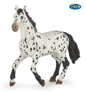 Product detail of Appaloosa černý