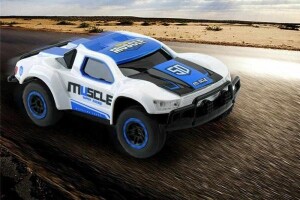 Product detail of IQ models MUSCLE rally racing 1/43 bílomodrá