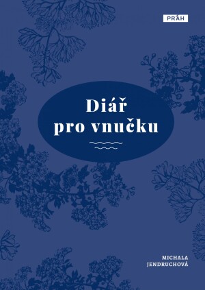 Product detail of Diář pro vnučku - Michala Jendruchová