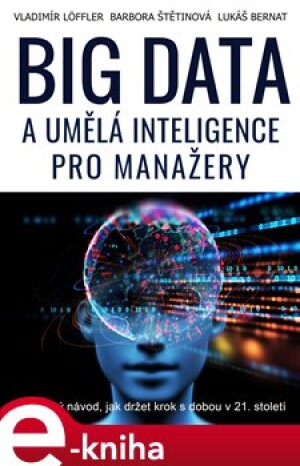 Product detail of Big data a umělá inteligence pro manažery - Vladimír Löffler, Barbora Štětinová, Lukáš Bernat