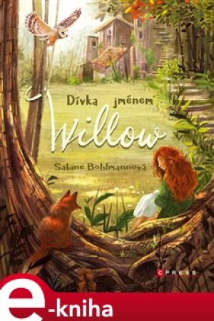 Product detail of Dívka jménem Willow - Sabine Bohlmannová