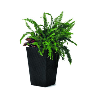 Product detail of Ketter Obal na květináč Rattan Planter antracit, 23,6 l, 29 x 44 x 29 cm