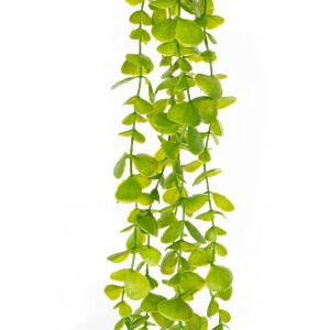 Product detail of Umělý keřík drobnolistý Eukalyptus, tm. zelená, 120 cm