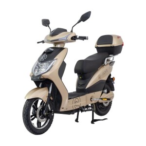 Product detail of RACCEWAY E-fichtl sv.zlatý-lesklý s baterií 12Ah + sleva 1000,- na příslušenství