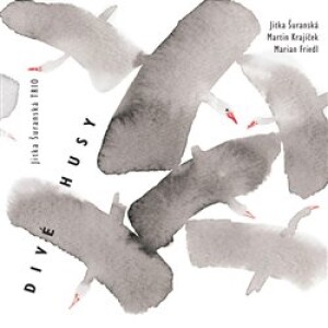 Product detail of Divé husy - Jitka Šuranská Trio