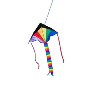 Product detail of Ecoline Simple Flyer Rainbow 120cm