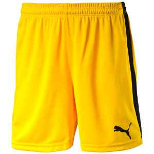Product detail of Pánské šortky Puma  Pitch  bílo-zelená, L