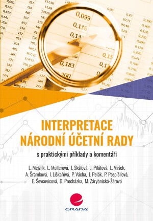 Product detail of Interpretace Národní účetní rady - Jana Skálová