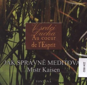 Product detail of Jak správně meditovat - CD, 1.  vydání - Mistr Kaisen