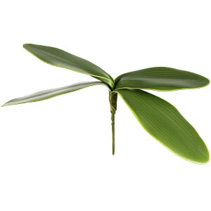 Product detail of Umělý List orchideje, v. 20 cm 