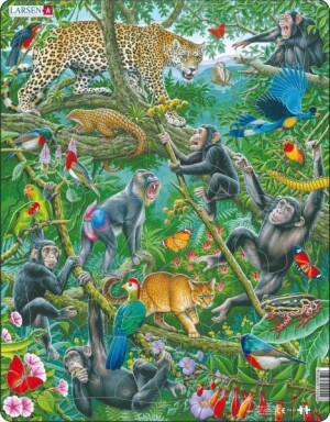 Product detail of Puzzle Africký deštný prales