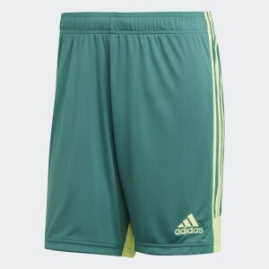 Product detail of Adidas Tastigo19 SHO DP3251