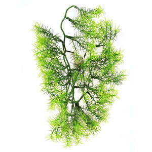 Product detail of Umělá květina Asparagus, 40 cm