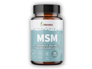 Product detail of Blendea MSM 90 kapslí
