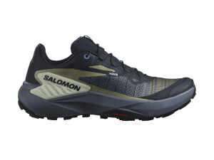 Product detail of Dámská běžecká obuv Salomon Genesis W Carbon/Grisaille/Aloe Wash  UK 7,5