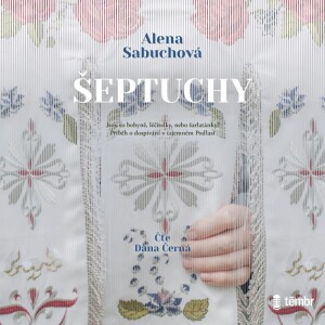 Product detail of Dívka, která se dotkla nebe - audioknihovna - Luca Di Fulvio