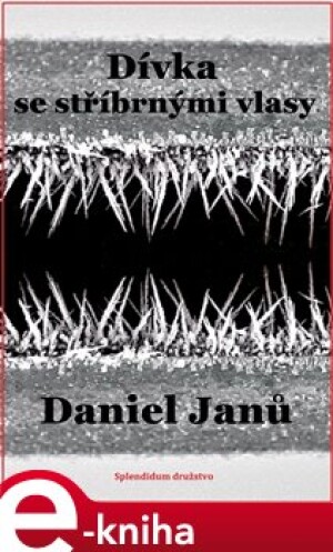 Product detail of Dívka se stříbrnými vlasy - Daniel Janů