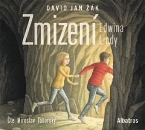 Product detail of Zmizení Edwina Lindy - David Jan Žák