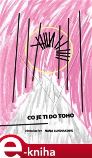 Product detail of Co je ti do toho - Hana Lundiaková
