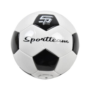 Product detail of SPORTTEAM Fotbalový míč Official S22