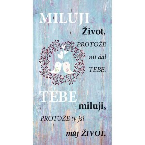 Product detail of Bohemia Gifts Dekorační obraz Miluji život, 20 x 40 cm
