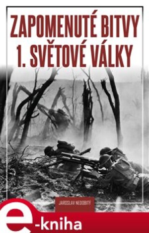 Product detail of Zapomenuté bitvy 1. světové války - Jaroslav Nedobitý