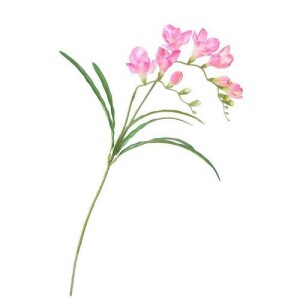 Product detail of Umělá květina Frézie růžová, 57 cm