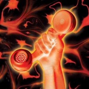 Product detail of Secret World Live - Peter Gabriel