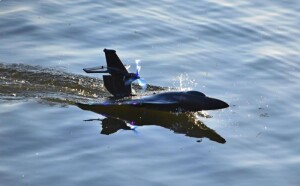 Product detail of IQ models RC Stíhačka Raptor-650 černá
