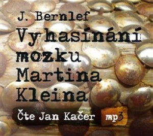 Product detail of Vyhasínání mozku Martina Kleina - J. Bernlef