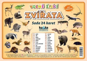 Product detail of Volně žijící zvířata - Sada 24 karet - Petr Kupka