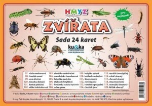 Product detail of Zvířata hmyz - Sada 24 karet - Petr Kupka