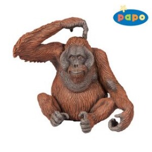 Product detail of Orangutang