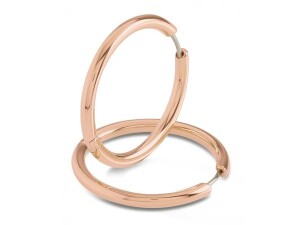 Product detail of Naušnice Boccia Titanium 05073-03