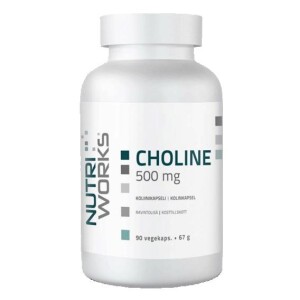 Product detail of NutriWorks Choline 500mg 90 kapslí