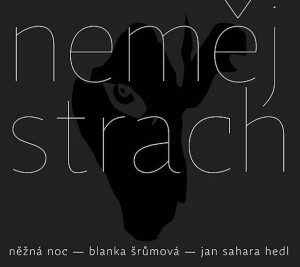 Product detail of Neměj strach - CD - Blanka Šrůmová