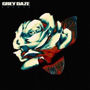 Product detail of Grey Daze: Amends - LP - Daze Grey