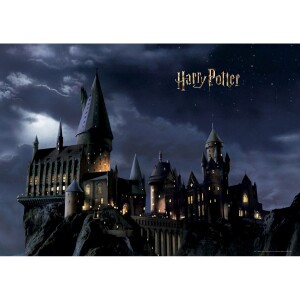 Product detail of Dětská fototapeta Harry Potter 252 x 182 cm, 4 díly