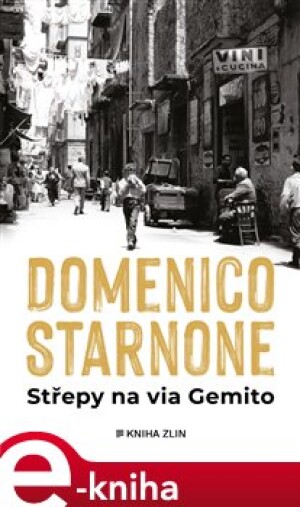 Product detail of Střepy na via Gemito - Domenico Starnone