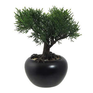 Product detail of Umělá bonsaj Cedr v květináči zelená, 19 cm