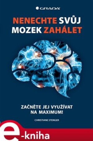 Product detail of Nenechte svůj mozek zahálet - Christiane Stenger