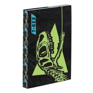 Product detail of Box na sešity A4 - T-rex