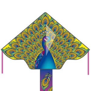 Product detail of Invento drak Simple Flyer Peacock