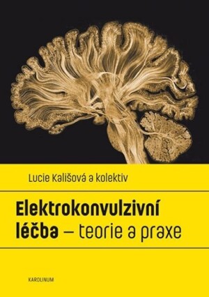 Product detail of Elektrokonvulzivní léčba - teorie a praxe - Lucie Kališová