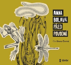 Product detail of Před povodní - audioknihovna - Anna Bolavá