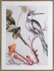 ArtFir Obraz BIRD 636 | bílá 45 x 60 cm - thumb (0)