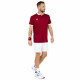 Tecnifibre Team Mesh Polo cardinal - thumb (2)