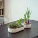 Plastia Velká farma Microgreens+Regrow, slonová kost - thumb (2)